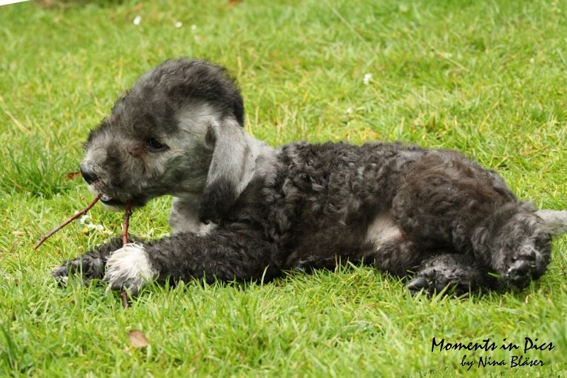 Antares 2009-07-12 (39).JPG